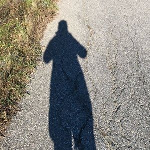 Meet your Posher, Rocky