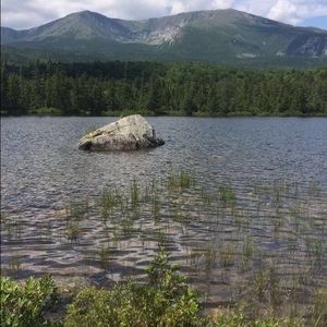 Meet your Posher, Conner