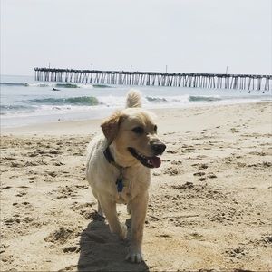 Meet your Posher, Steph