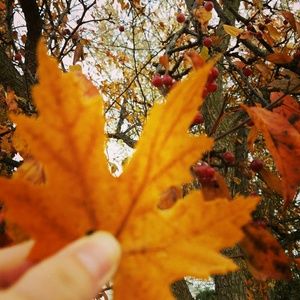 Meet your Posher, Arrielle