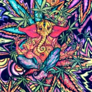 Meet your Posher, Caleb