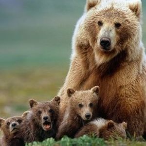 Meet your Posher, Deborah