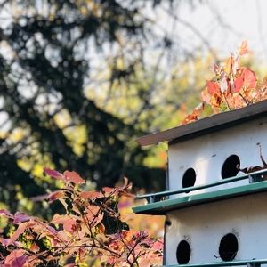 Meet your Posher, Riley