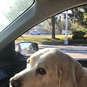 Meet your Posher, Ronnie