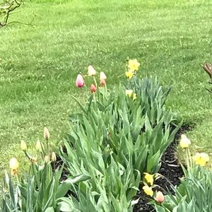 Meet your Posher, Alicia