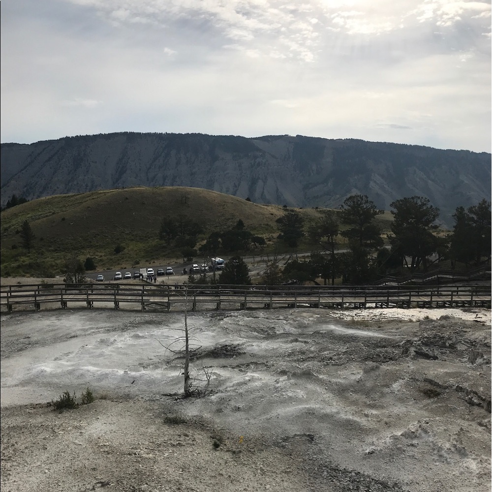 Meet your Posher, Dana