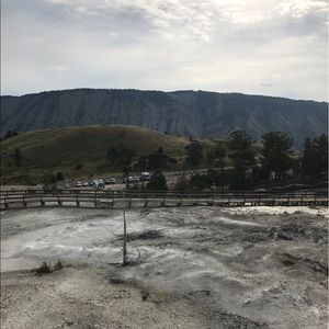 Meet your Posher, Dana