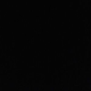 Meet your Posher, Mya