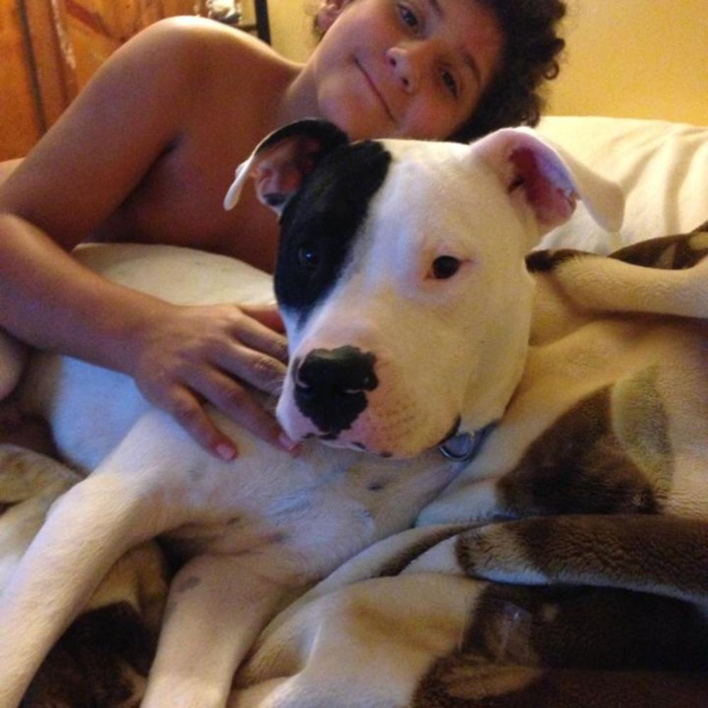 Meet your Posher, Reina