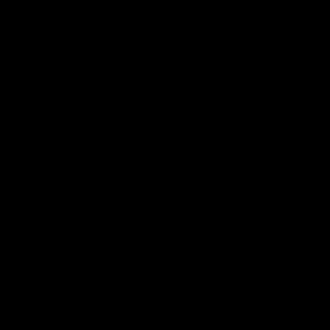 Meet your Posher, Ariana