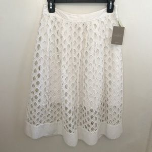 Anthropologie Skirt
