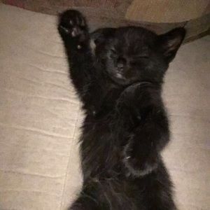 Meet your Posher, Brian