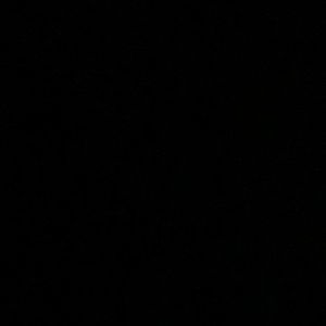 Meet your Posher, Nicholas