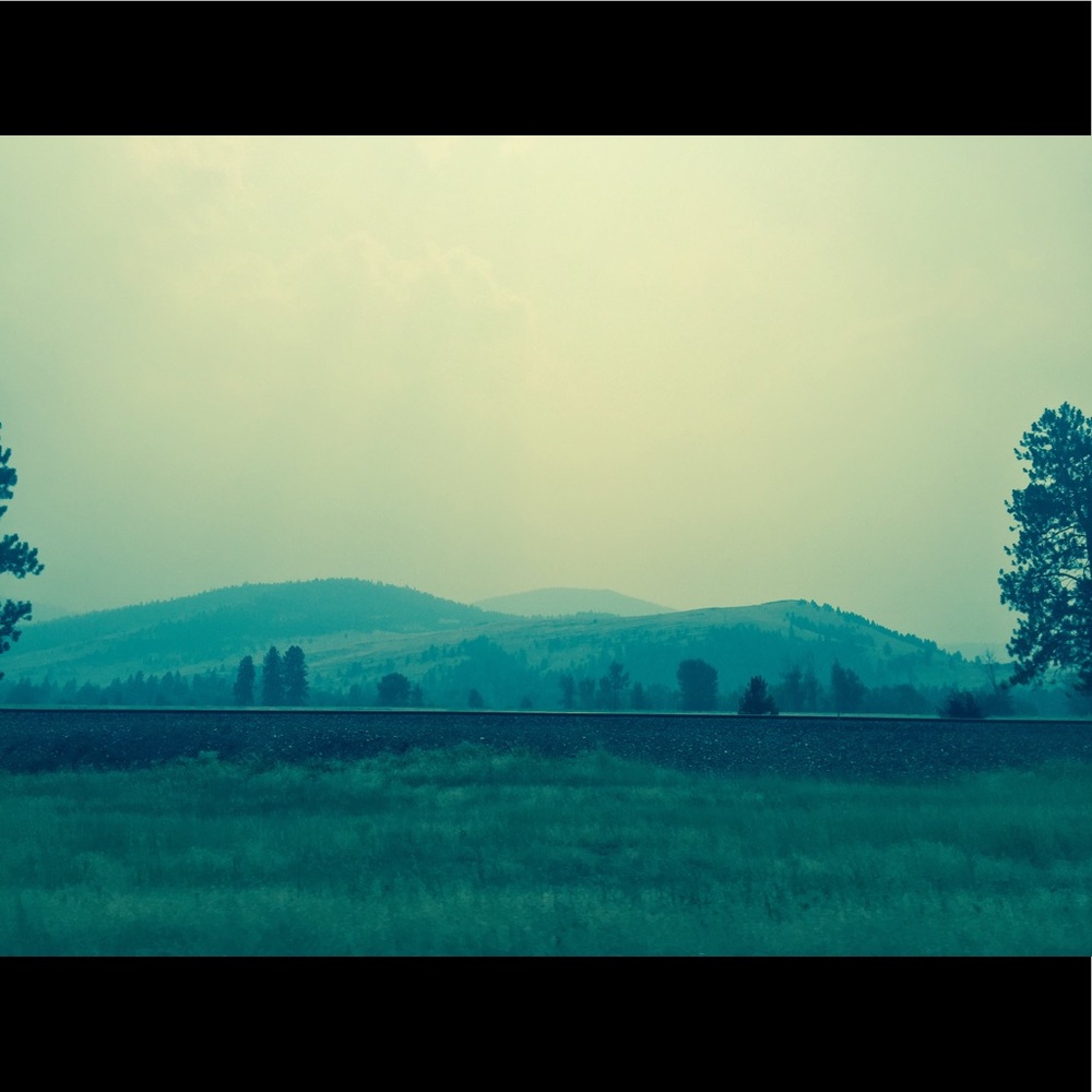 Meet your Posher, Lovett