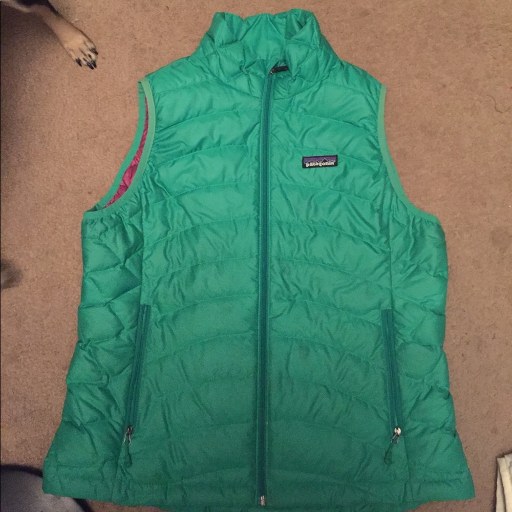 Patagonia Vest Teal and Pink