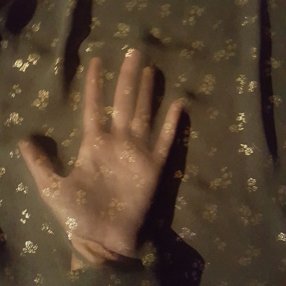 Translucent Peter Pan Collared Blouse - Picture 3 of 3