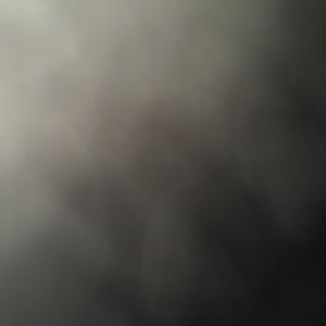 Meet your Posher, Ally