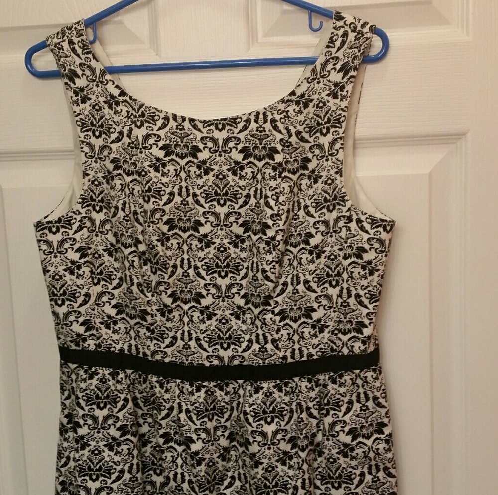 Loft fit and flare dress