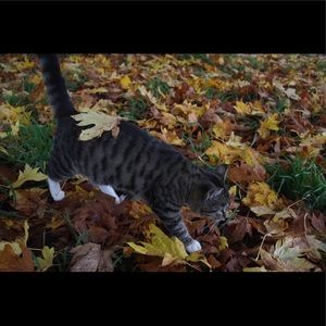 Meet your Posher, Bella