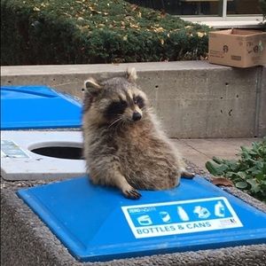 Meet your Posher, Richard