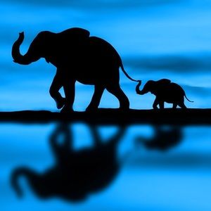 Meet your Posher, Miranda