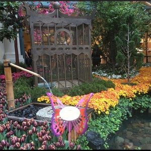 Meet your Posher, Ayanda