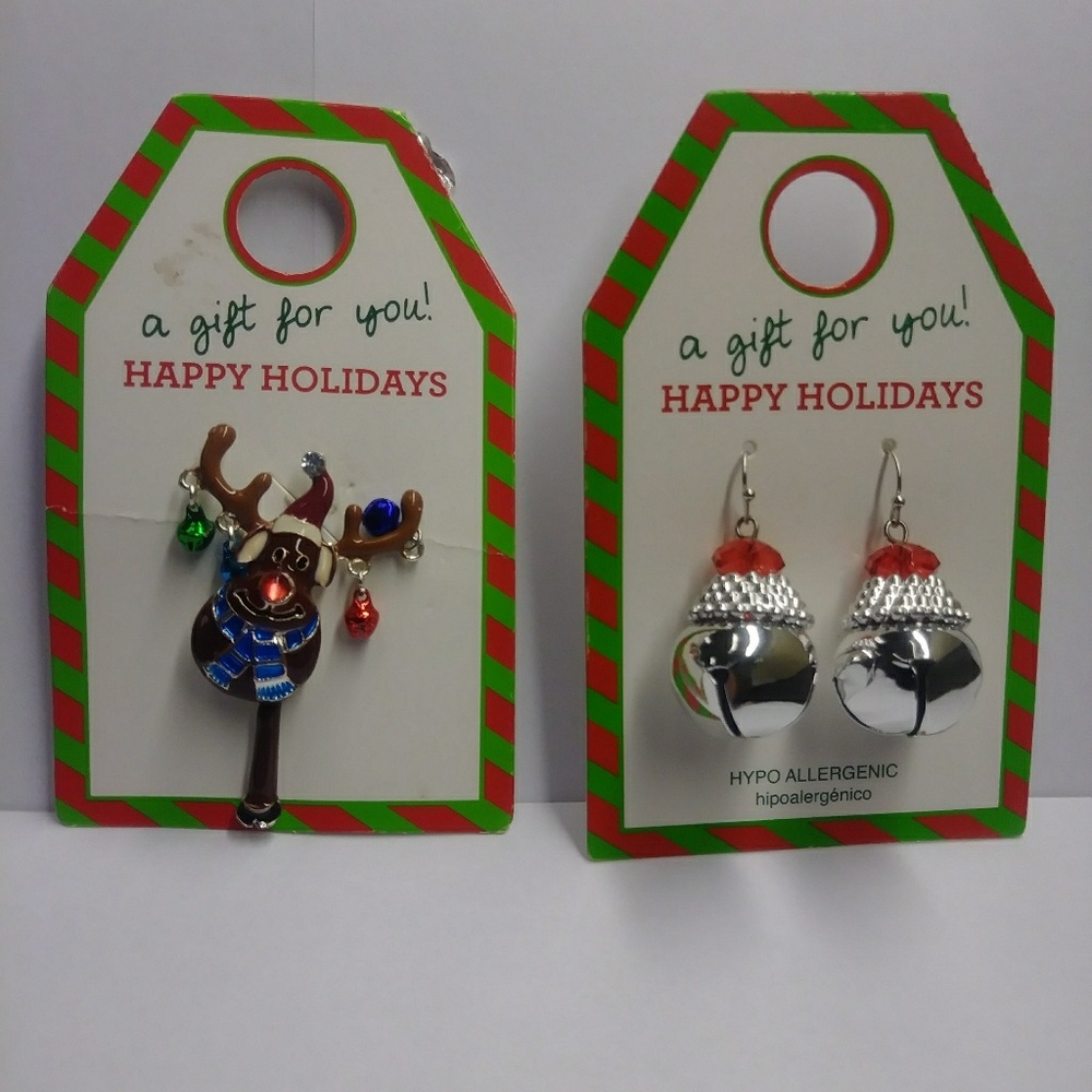 Earrings & Pin