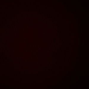 Meet your Posher, Aneesha