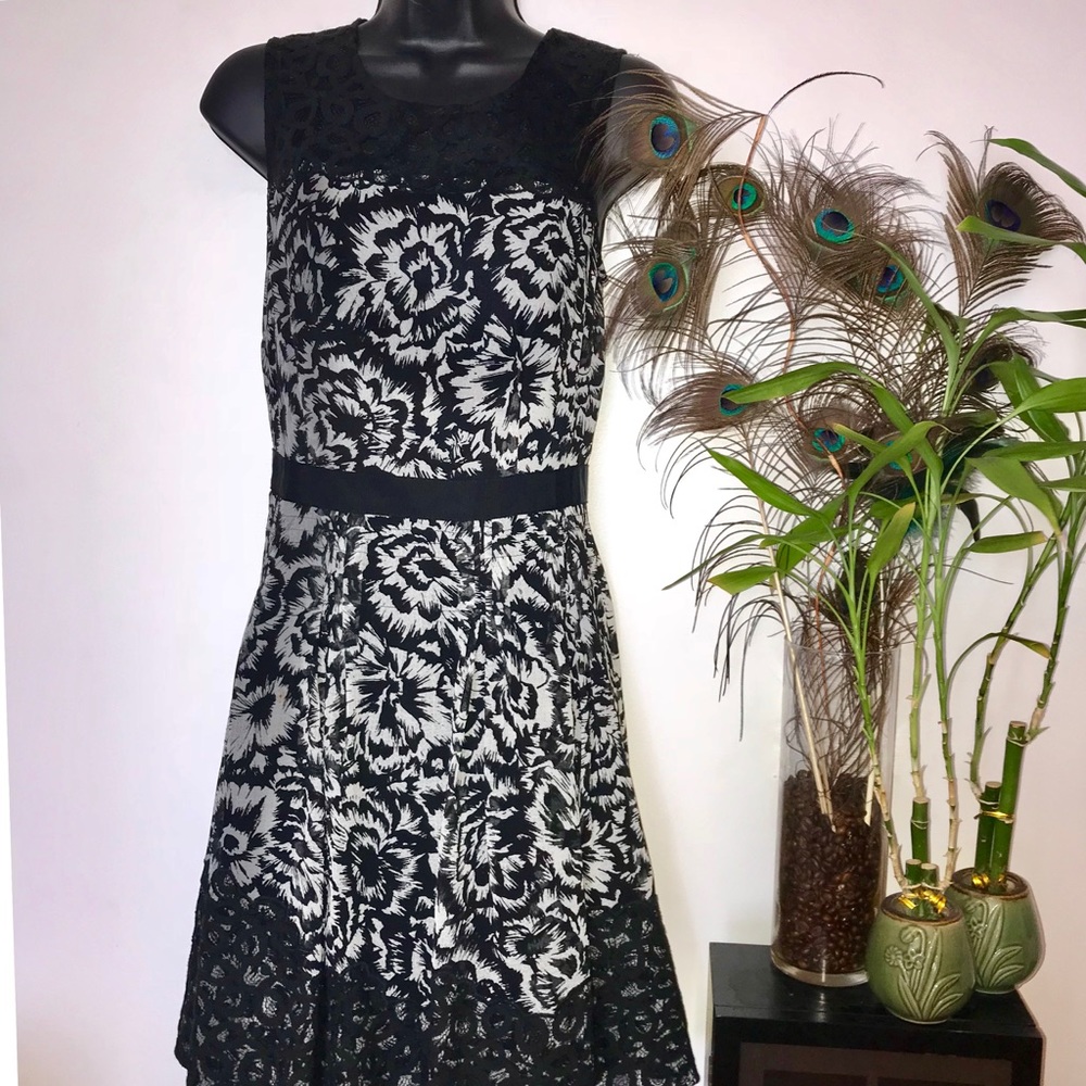 Ann Taylor Black/White 50’s Floral Lace Dress