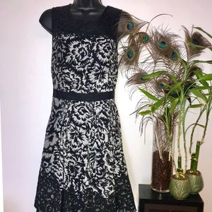 Ann Taylor Black/White 50’s Floral Lace Dress