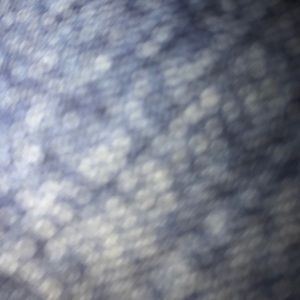 Meet your Posher, Johanna