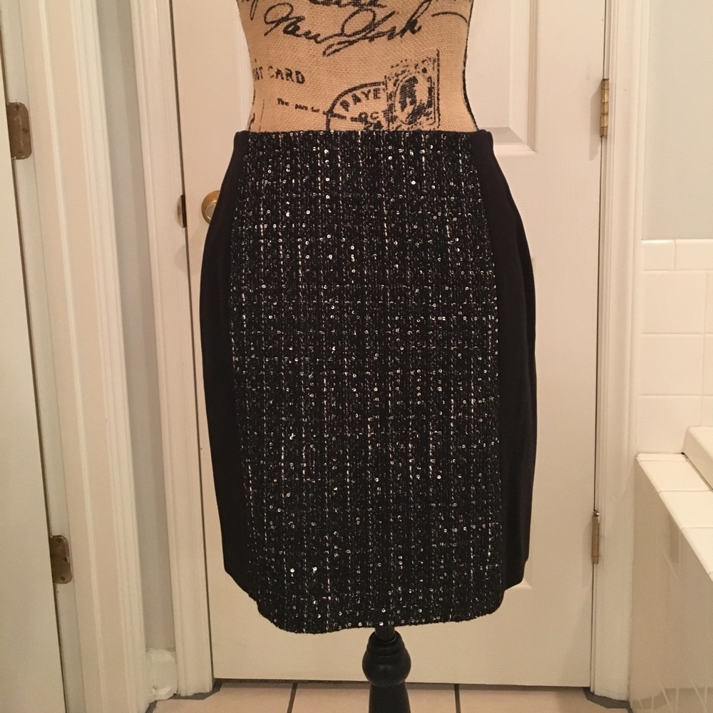 Like New - Ann Taylor Loft Embellished Skirt - Picture 2 of 7