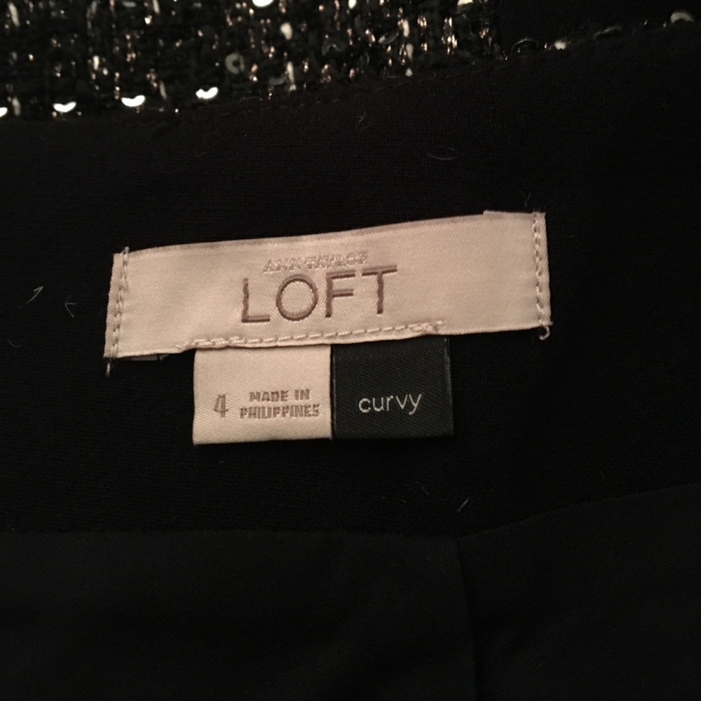 Like New - Ann Taylor Loft Embellished Skirt - Picture 6 of 7