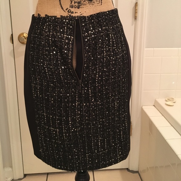 Like New - Ann Taylor Loft Embellished Skirt - Picture 5 of 7