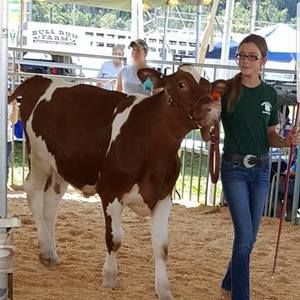 Meet your Posher, Joyce