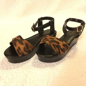 NIB sz 8 Torrid Animal Print Platforms💕