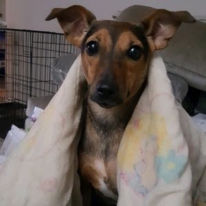 Meet your Posher, Hannah