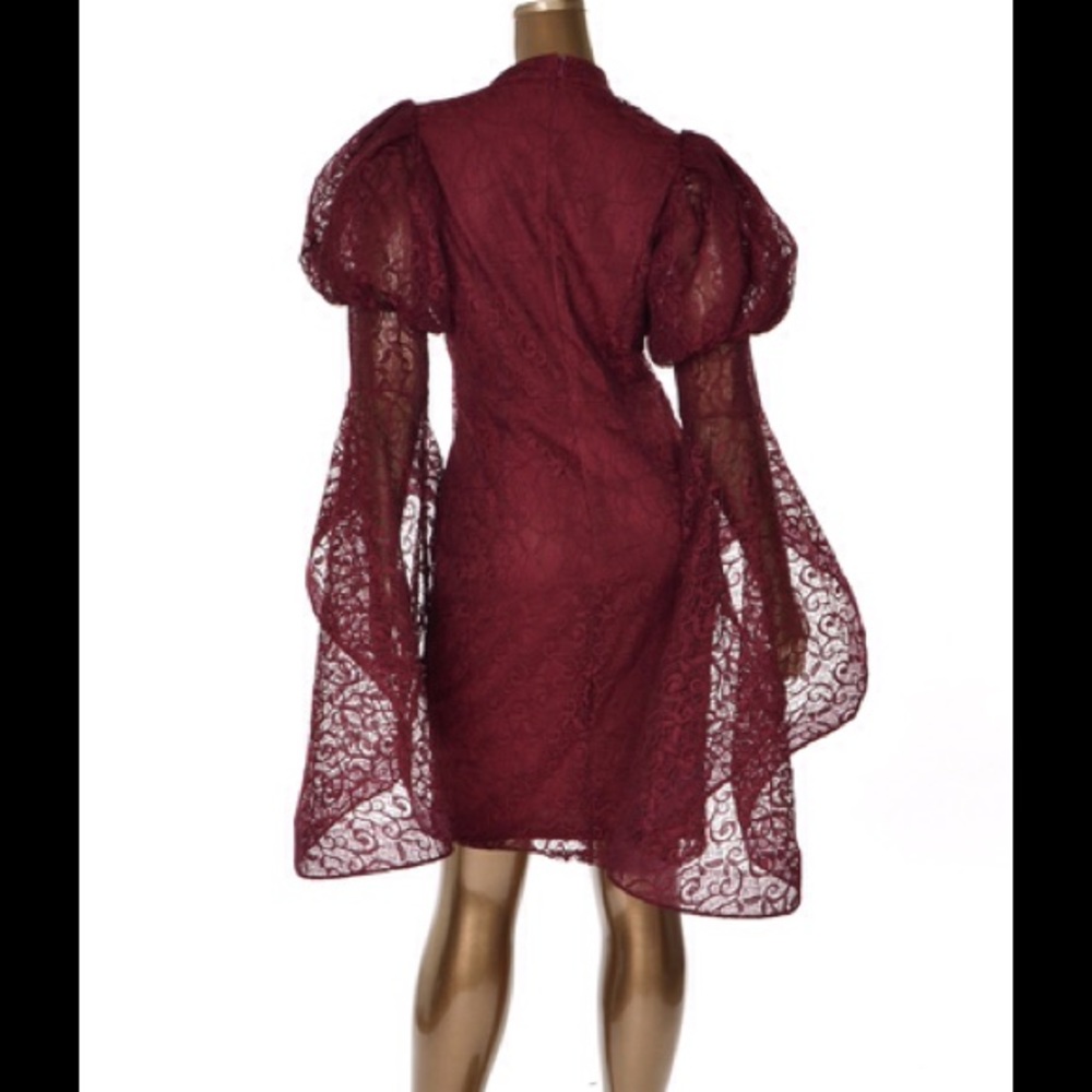 Caribbean Queen Women Plus Size Wine Bodycon Dress - Picture 3 of 3