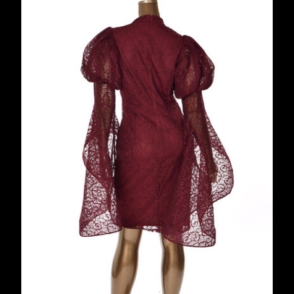 Caribbean Queen Women Plus Size Wine Bodycon Dress - Picture 3 of 3