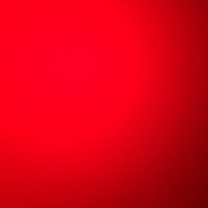 Meet your Posher, Lisette