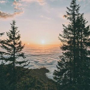 Meet your Posher, Joanna