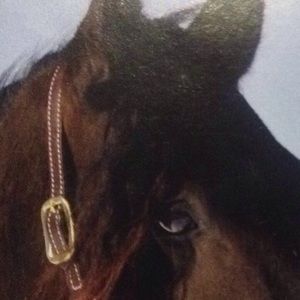 Meet your Posher, Gigi