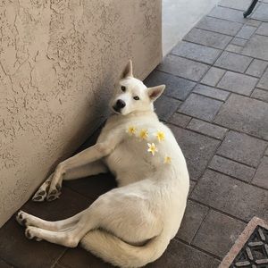 Meet your Posher, Matthew