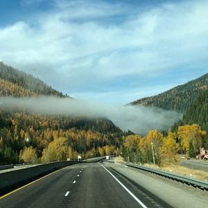 Meet your Posher, Dora