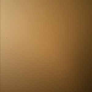 Meet your Posher, Cassie