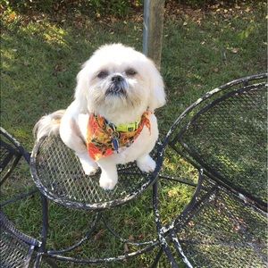 Meet your Posher, Wanda