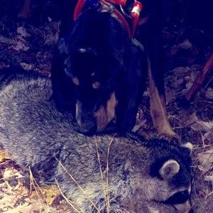 Meet your Posher, Noah