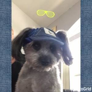 Meet your Posher, Chris