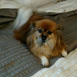 Meet your Posher, Leslie