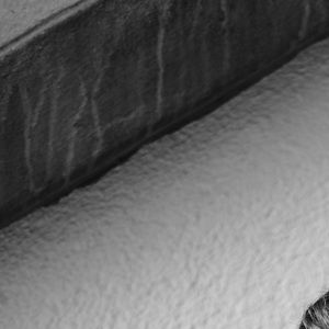 Meet your Posher, Blake